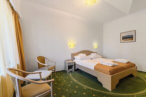 Hotel Casa Viorel