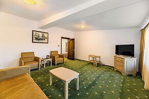 Hotel Casa Viorel