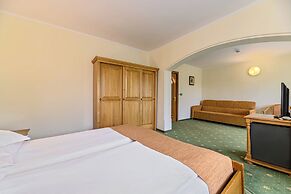 Hotel Casa Viorel