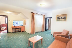 Hotel Casa Viorel