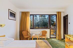 Hotel Casa Viorel