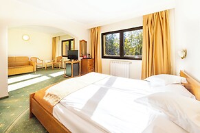 Hotel Casa Viorel