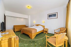 Hotel Casa Viorel