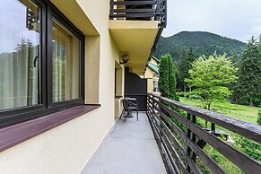 Hotel Casa Viorel