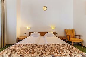 Hotel Casa Viorel