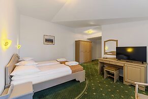 Hotel Casa Viorel