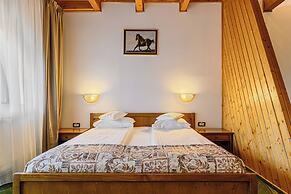 Hotel Casa Viorel