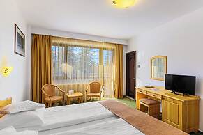 Hotel Casa Viorel