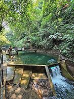 Ayong's Adventure Park