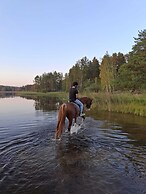 Myskje Gård Äventyr