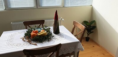 Sunny and Charming Domain for Your Stay in Sofia