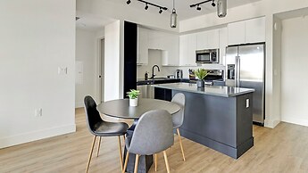 Barsala At Tortoise One