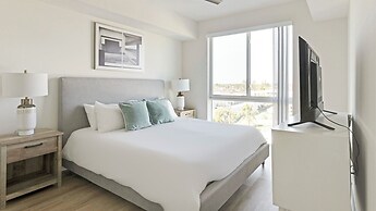 Barsala At Tortoise One