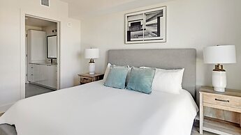 Barsala At Tortoise One