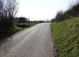 Holiday Home With gas Fireplace & Bath