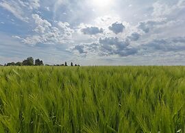 Holiday Home With gas Fireplace & Bath