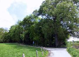 Holiday Home With gas Fireplace & Bath