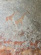 Gwango Tamarillo Estate