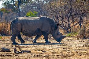 Gwango Tamarillo Estate
