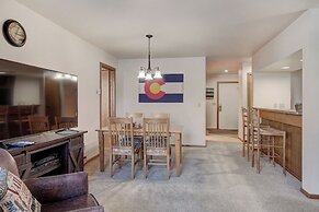 Cozy Dillon CO Condos