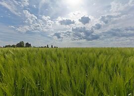 Chalet in Bemelen Near Bemelerberg Reserve