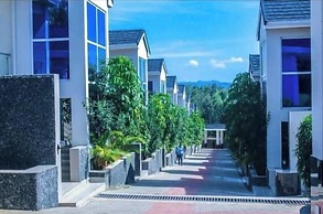 Grand swiss suites