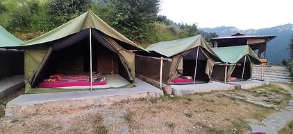 Pine Hills Nature Camp