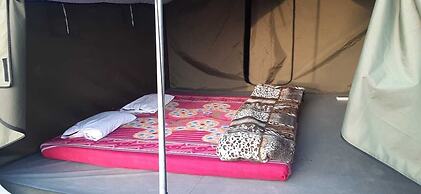 Pine Hills Nature Camp