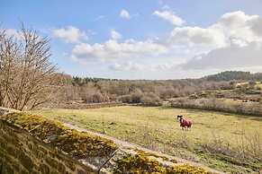 Host Stay Drovers Rest