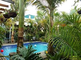 hostal hilltop salento