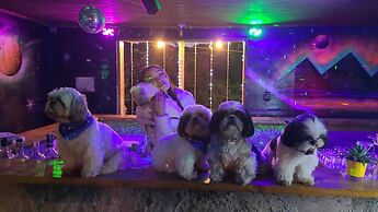 hostal hilltop salento