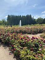 Idyllic Cottage Sleeps 4 pet Friendly