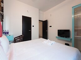 Daffodils by La Maison Charu