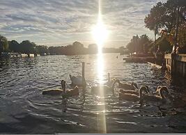 River Cabin Mills Cottage - From 450 Per Night