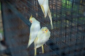 Serene Resort & Convention