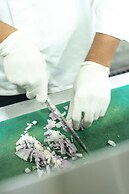 Serene Resort & Convention