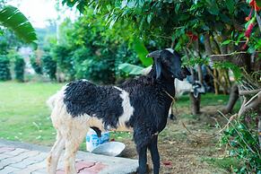 Serene Resort & Convention