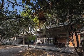 Hachi Homestay & Spa