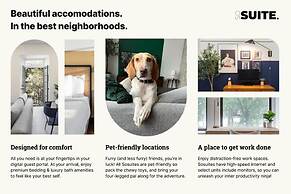 Sosuite 2BR Apt w Patio W D Sofabed