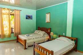 Ocean and Forest View Hotel Manolo