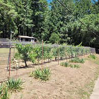 Van Zandt's Redwood View Resort