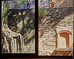 Casa del Arbol
