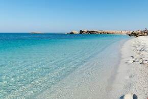 L'araucaria Guest House