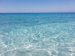 L'araucaria Guest House