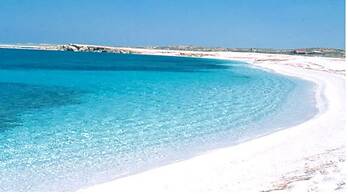 L'araucaria Guest House