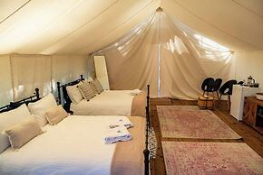 Haida Gwaii Glamping Co.