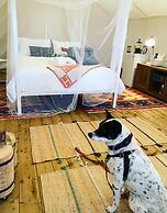 Haida Gwaii Glamping Co.