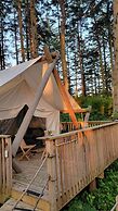 Haida Gwaii Glamping Co.