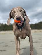 Haida Gwaii Glamping Co.