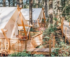 Haida Gwaii Glamping Co.